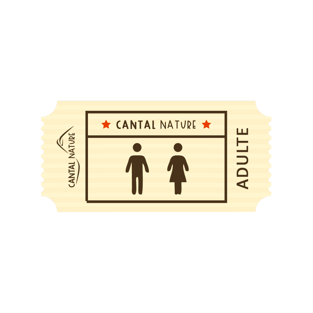 1-adulte