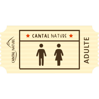 1-adulte