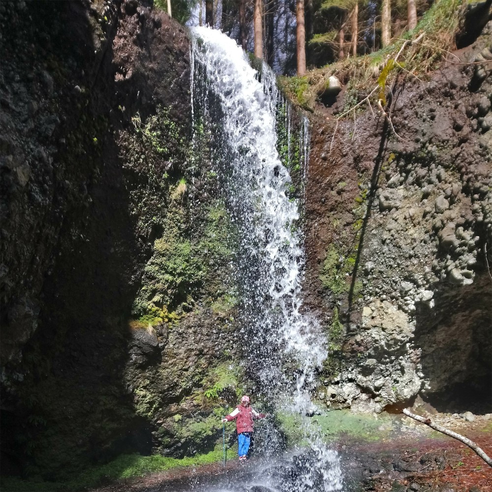 Randonnées marche-nordique dans le Cantal | Tournemire