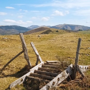Randonnées marche-nordique dans le Cantal | Tournemire