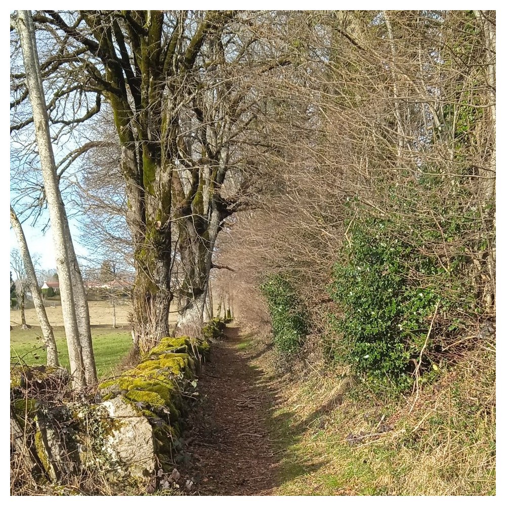 Wandern im Cantal | Saint Jean De Dône
