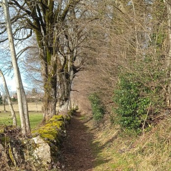 Hiking in the Cantal | Saint Jean De Dône