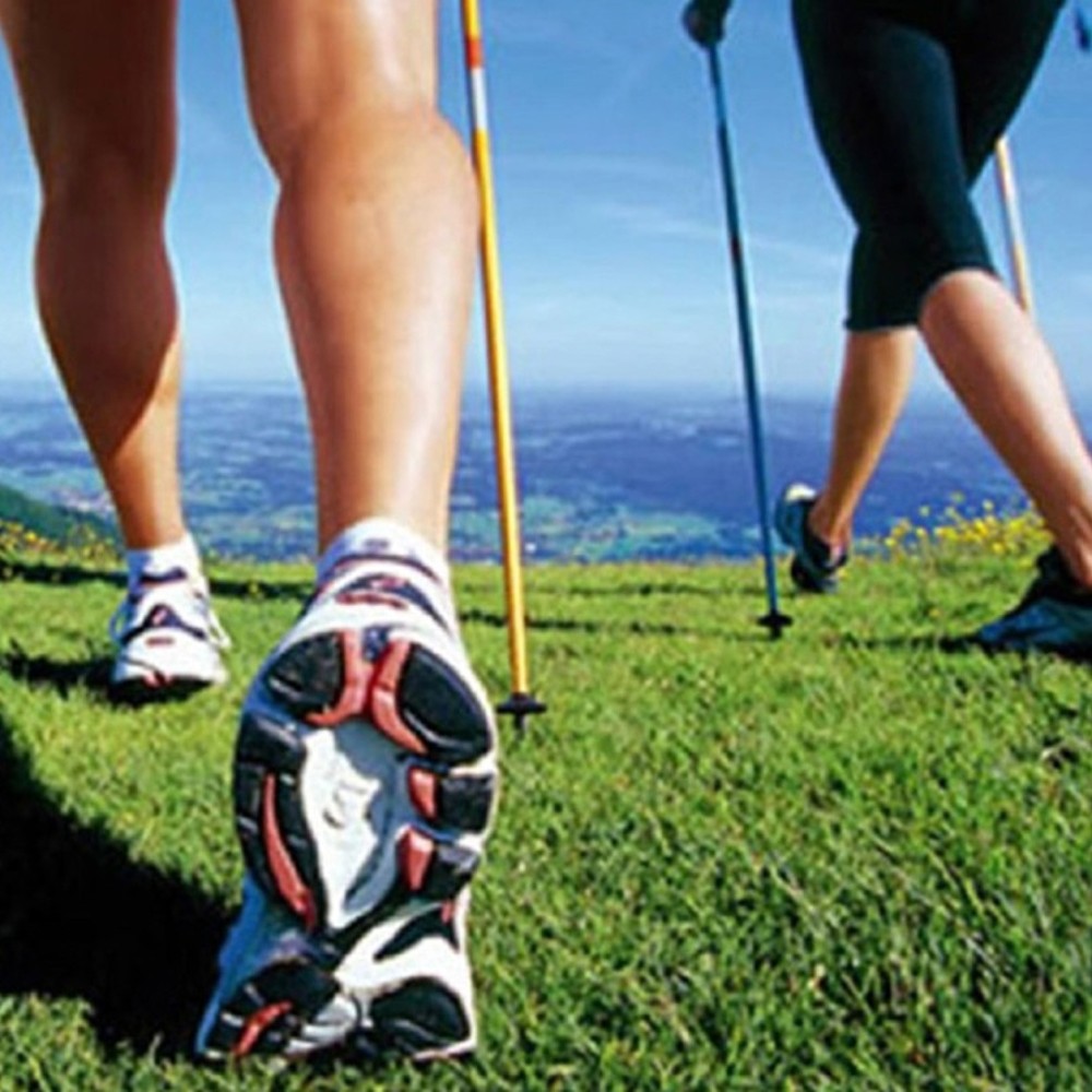 Nordic walking/hiking - Plateau du Limon