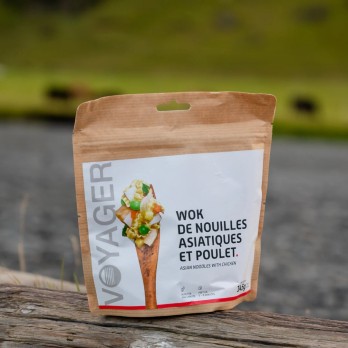 Wok de nouilles asiatiques et poulet