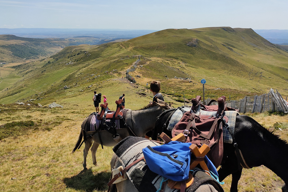 cantal_nature_departement_0.jpg