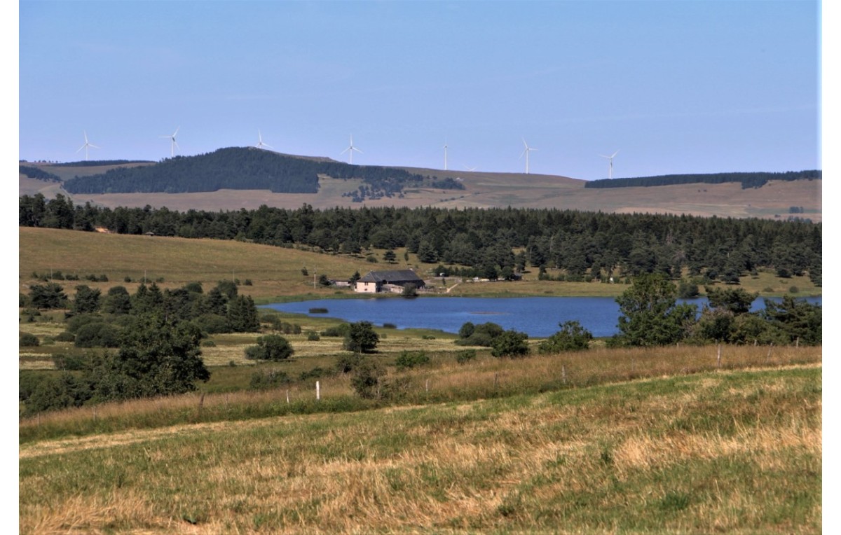 Lac du Pêcher et Pinatelle : nature sauvage et randonnée dans le Cantal